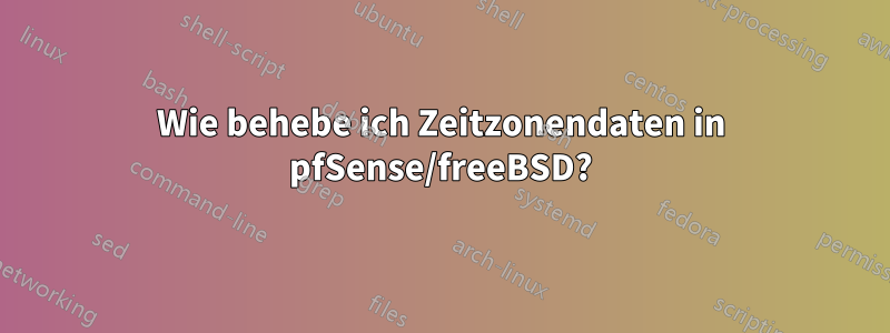 Wie behebe ich Zeitzonendaten in pfSense/freeBSD?