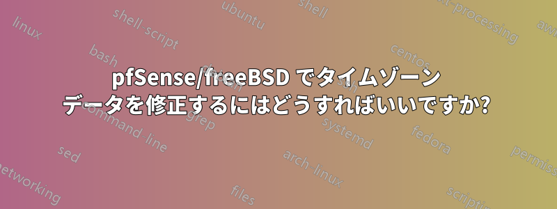 pfSense/freeBSD でタイムゾーン データを修正するにはどうすればいいですか?