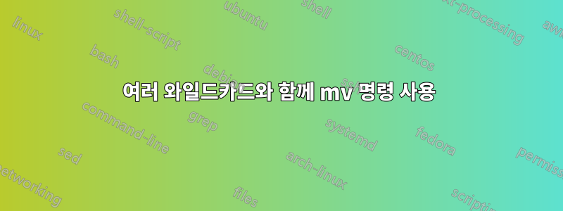 여러 와일드카드와 함께 mv 명령 사용