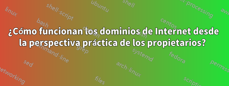 ¿Cómo funcionan los dominios de Internet desde la perspectiva práctica de los propietarios? 