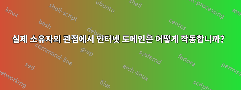 실제 소유자의 관점에서 인터넷 도메인은 어떻게 작동합니까? 