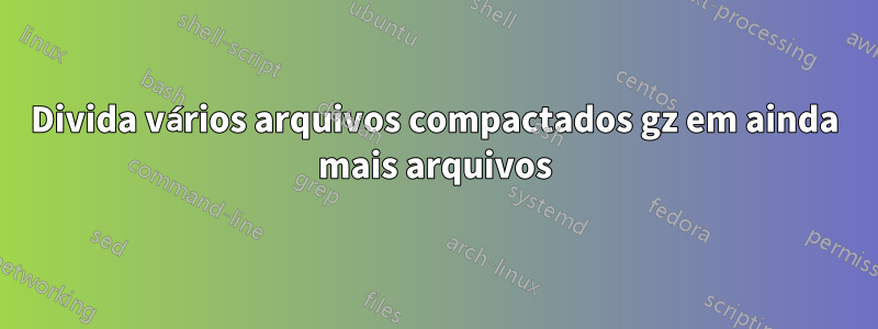 Divida vários arquivos compactados gz em ainda mais arquivos