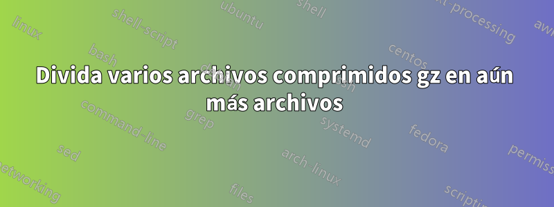 Divida varios archivos comprimidos gz en aún más archivos