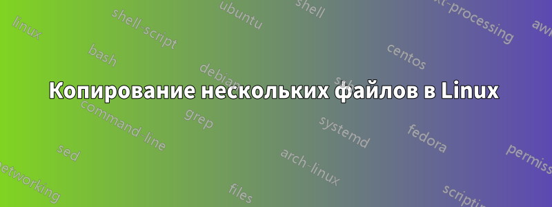 Копирование нескольких файлов в Linux