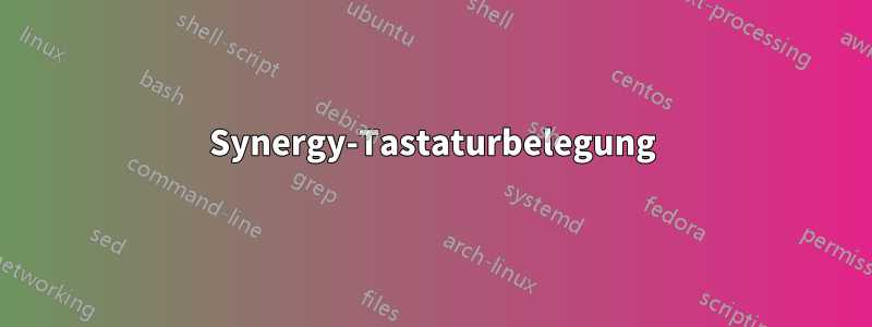 Synergy-Tastaturbelegung