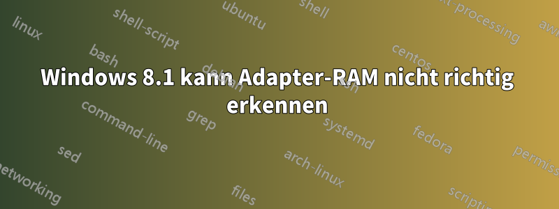 Windows 8.1 kann Adapter-RAM nicht richtig erkennen