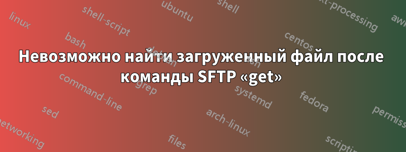 Невозможно найти загруженный файл после команды SFTP «get»