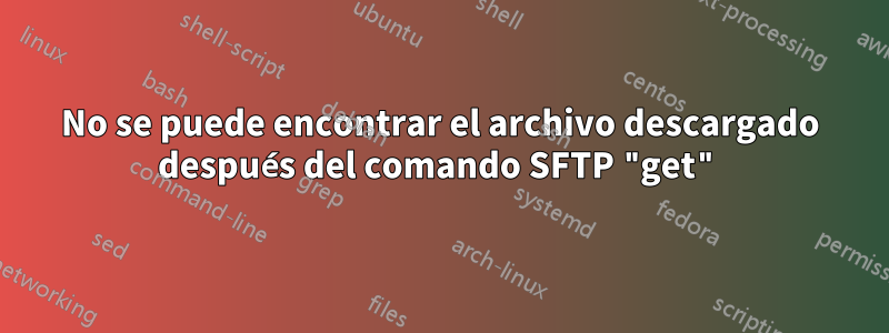 No se puede encontrar el archivo descargado después del comando SFTP "get"