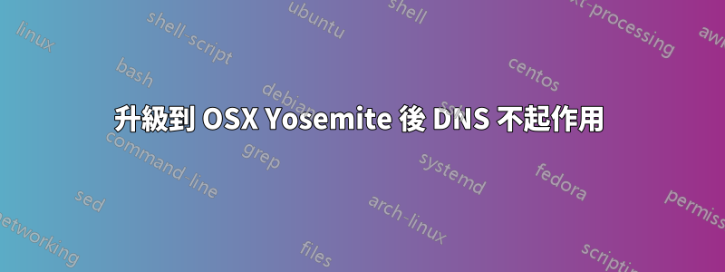 升級到 OSX Yosemite 後 DNS 不起作用