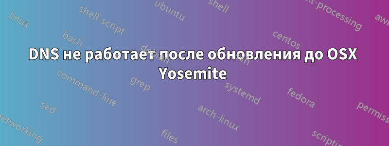 DNS не работает после обновления до OSX Yosemite