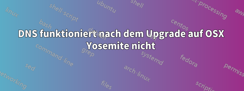 DNS funktioniert nach dem Upgrade auf OSX Yosemite nicht