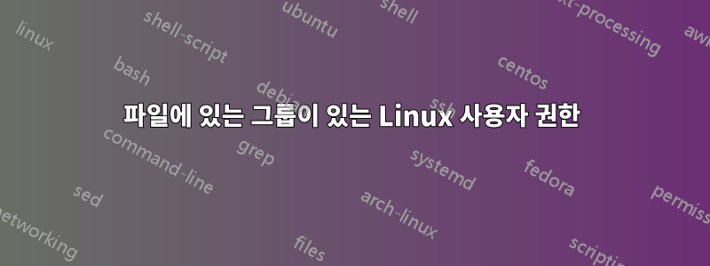 파일에 있는 그룹이 있는 Linux 사용자 권한