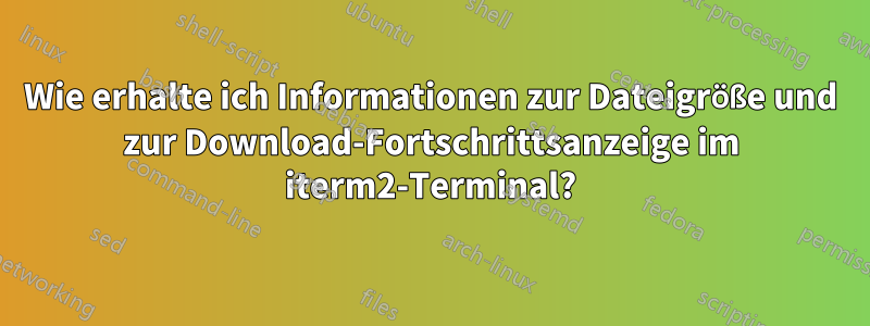 Wie erhalte ich Informationen zur Dateigröße und zur Download-Fortschrittsanzeige im iterm2-Terminal?