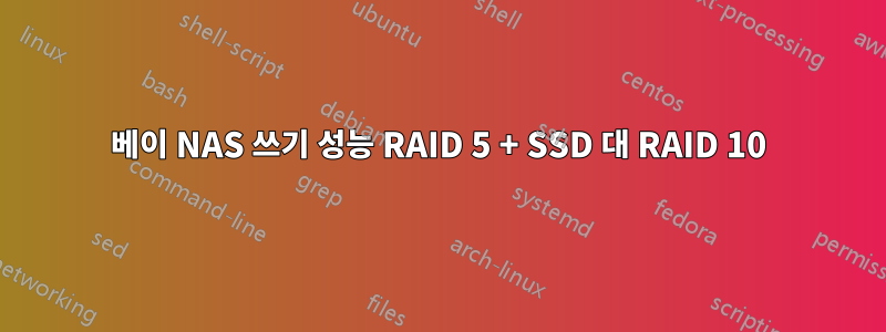 4베이 NAS 쓰기 성능 RAID 5 + SSD 대 RAID 10