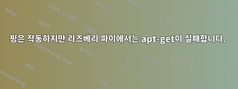 핑은 작동하지만 라즈베리 파이에서는 apt-get이 실패합니다.