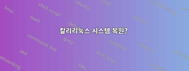 칼리리눅스 시스템 복원?