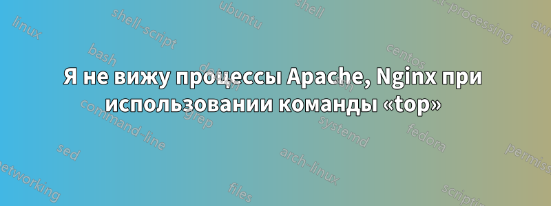 Я не вижу процессы Apache, Nginx при использовании команды «top»