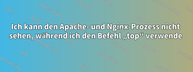 Ich kann den Apache- und Nginx-Prozess nicht sehen, während ich den Befehl „top“ verwende