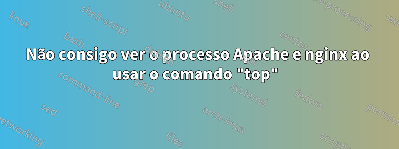 Não consigo ver o processo Apache e nginx ao usar o comando "top"