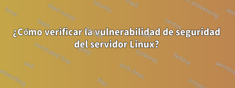 ¿Cómo verificar la vulnerabilidad de seguridad del servidor Linux?