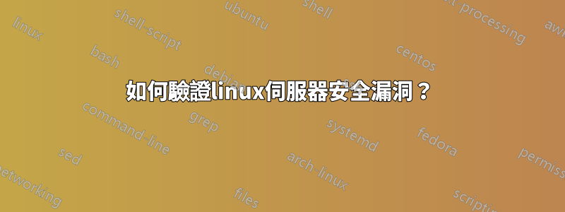 如何驗證linux伺服器安全漏洞？