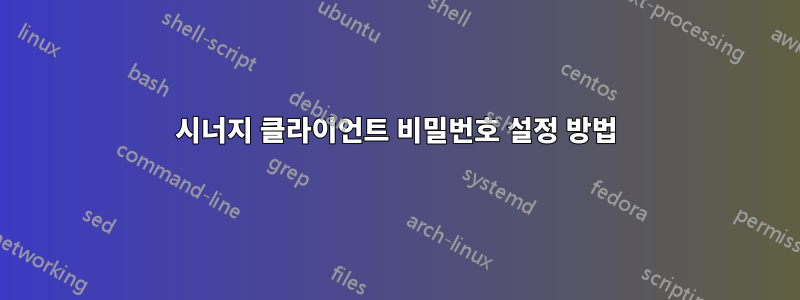 시너지 클라이언트 비밀번호 설정 방법