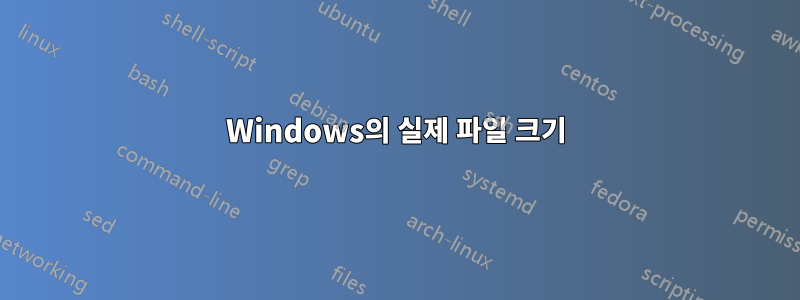 Windows의 실제 파일 크기