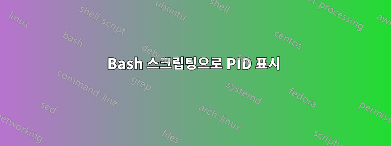 Bash 스크립팅으로 PID 표시