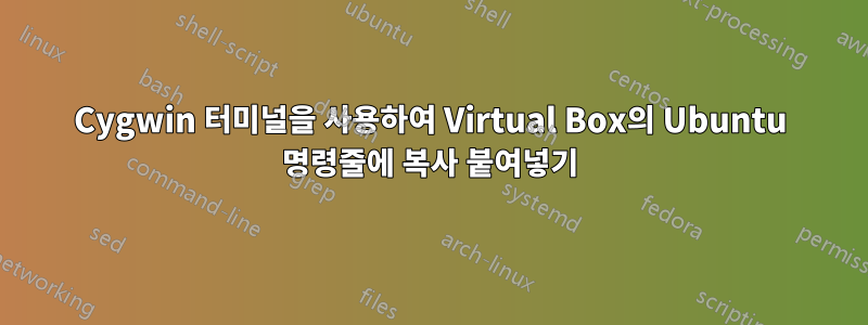 Cygwin 터미널을 사용하여 Virtual Box의 Ubuntu 명령줄에 복사 붙여넣기