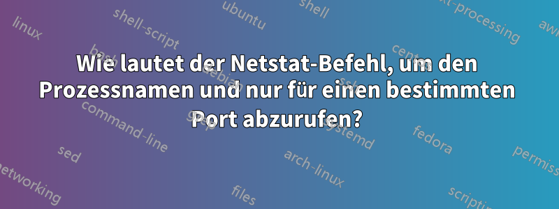 Wie lautet der Netstat-Befehl, um den Prozessnamen und nur für einen bestimmten Port abzurufen?