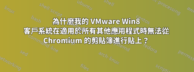 為什麼我的 VMware Win8 客戶系統在適用於所有其他應用程式時無法從 Chromium 的剪貼簿進行貼上？