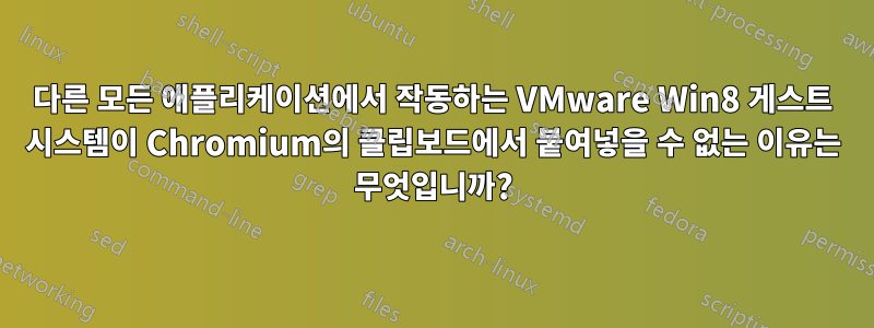 다른 모든 애플리케이션에서 작동하는 VMware Win8 게스트 시스템이 Chromium의 클립보드에서 붙여넣을 수 없는 이유는 무엇입니까?