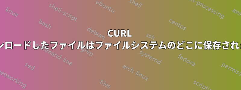 CURL でダウンロードしたファイルはファイルシステムのどこに保存されますか?