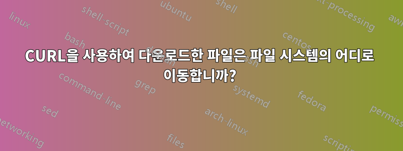 CURL을 사용하여 다운로드한 파일은 파일 시스템의 어디로 이동합니까?