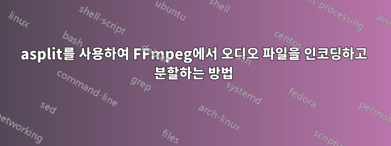 asplit를 사용하여 FFmpeg에서 오디오 파일을 인코딩하고 분할하는 방법