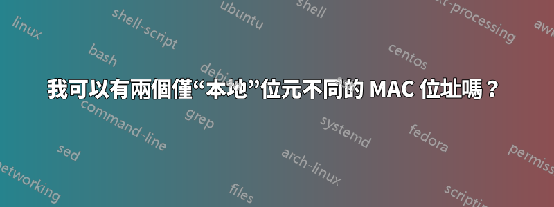 我可以有兩個僅“本地”位元不同的 MAC 位址嗎？