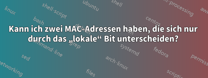 Kann ich zwei MAC-Adressen haben, die sich nur durch das „lokale“ Bit unterscheiden?