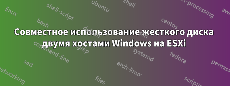 Совместное использование жесткого диска двумя хостами Windows на ESXi