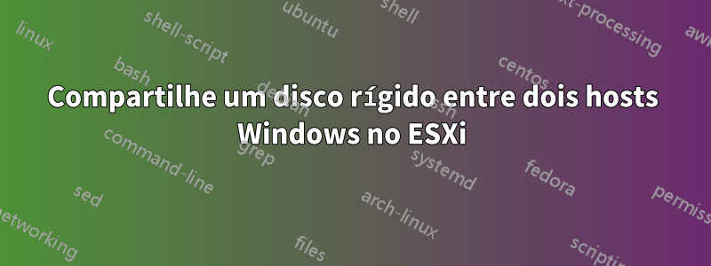 Compartilhe um disco rígido entre dois hosts Windows no ESXi