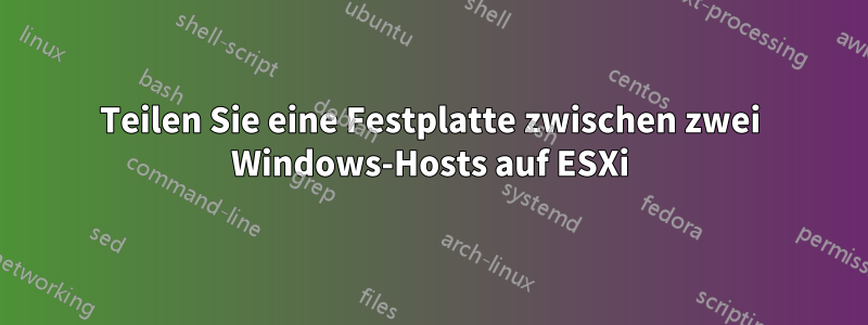 Teilen Sie eine Festplatte zwischen zwei Windows-Hosts auf ESXi