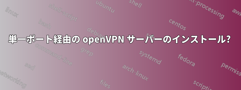 単一ポート経由の openVPN サーバーのインストール?