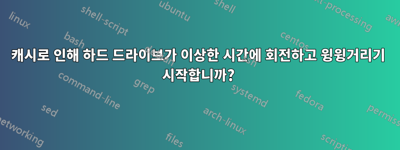 캐시로 인해 하드 드라이브가 이상한 시간에 회전하고 윙윙거리기 시작합니까?