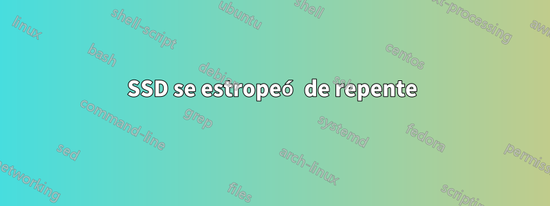 SSD se estropeó de repente