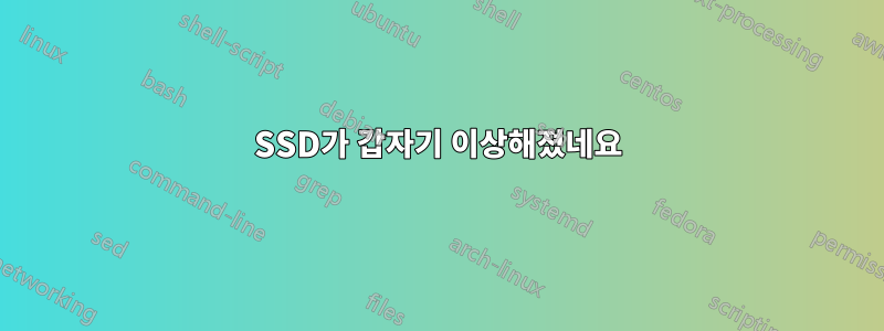 SSD가 갑자기 이상해졌네요