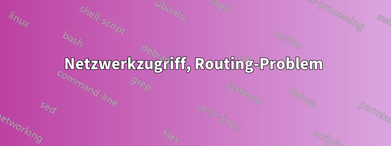 Netzwerkzugriff, Routing-Problem