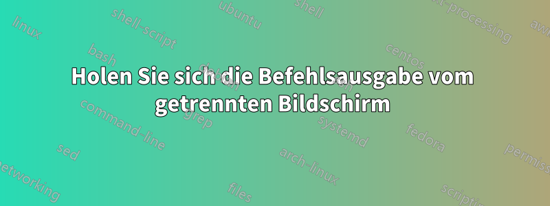 Holen Sie sich die Befehlsausgabe vom getrennten Bildschirm