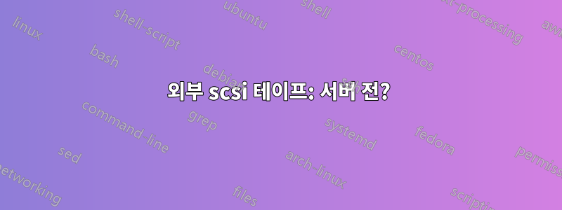 외부 scsi 테이프: 서버 전?