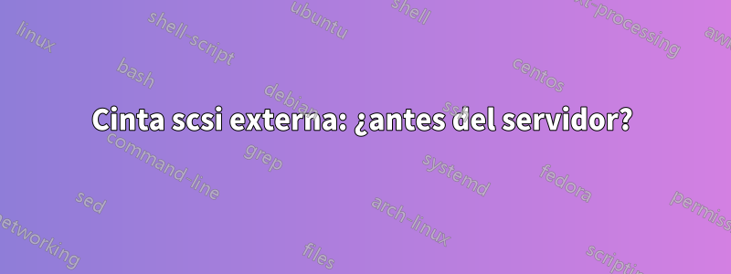 Cinta scsi externa: ¿antes del servidor?