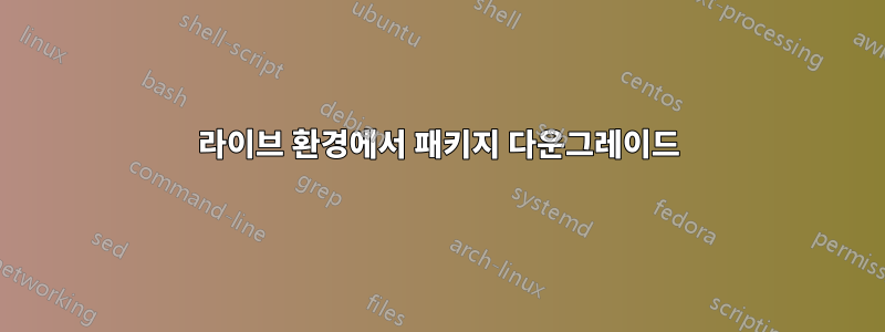 라이브 환경에서 패키지 다운그레이드