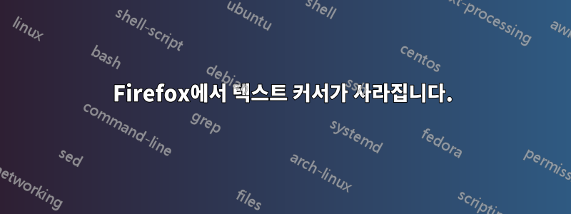 Firefox에서 텍스트 커서가 사라집니다.